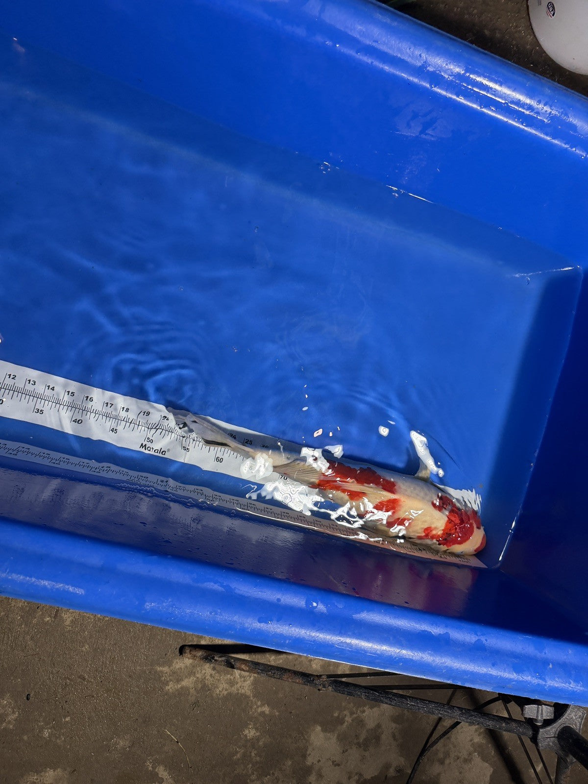 8833167