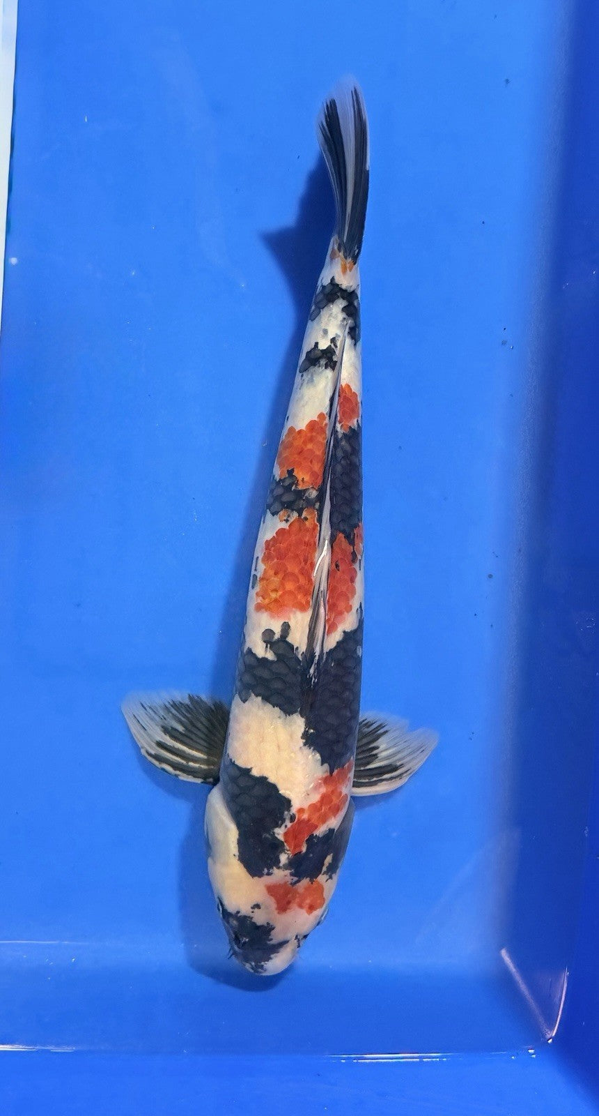8940278