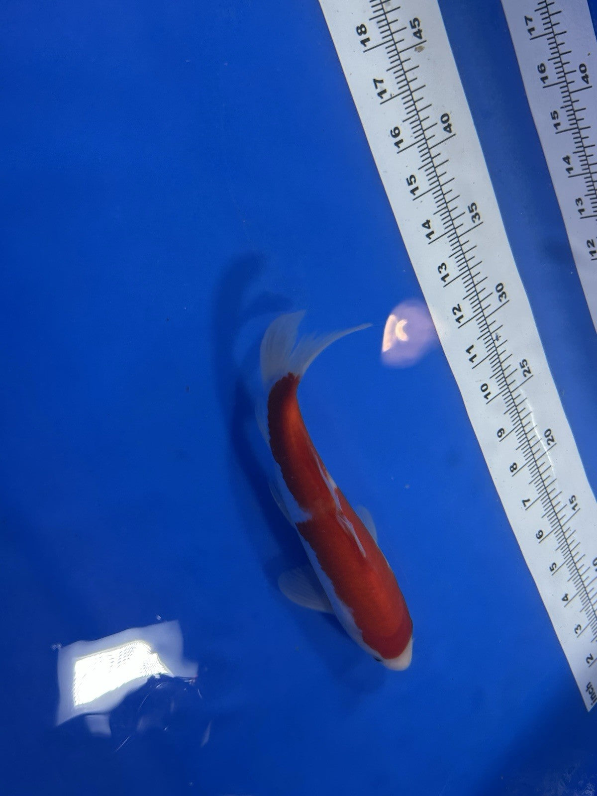 8745615