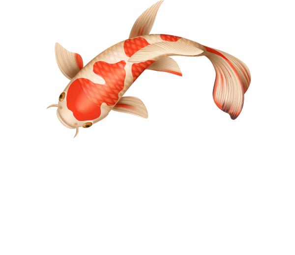 Black Swamp Koi