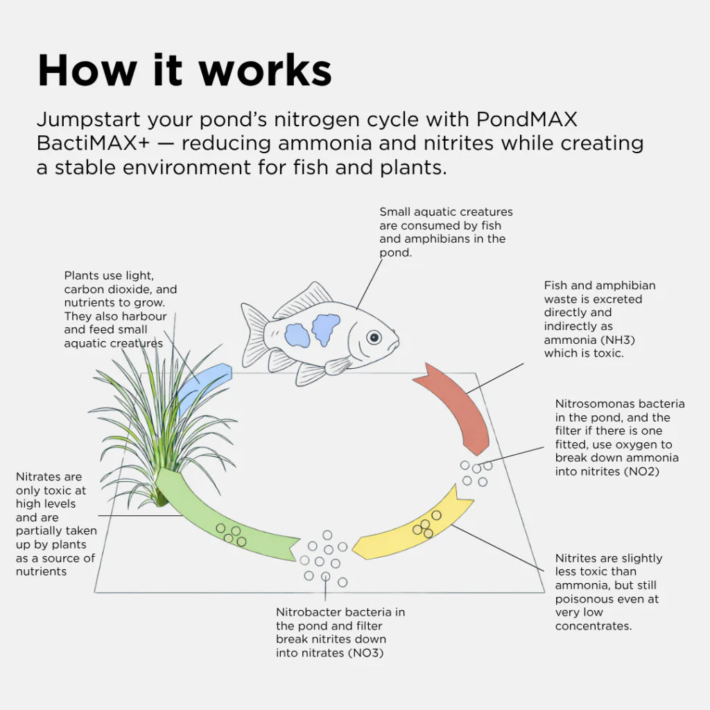 BactiMAX+ All Season Beneficial Bacteria