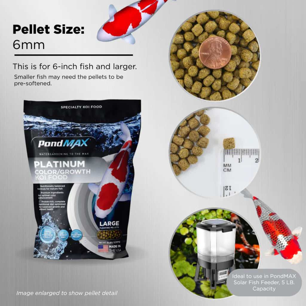 PondMAX Platinum Color & Growth Koi Food