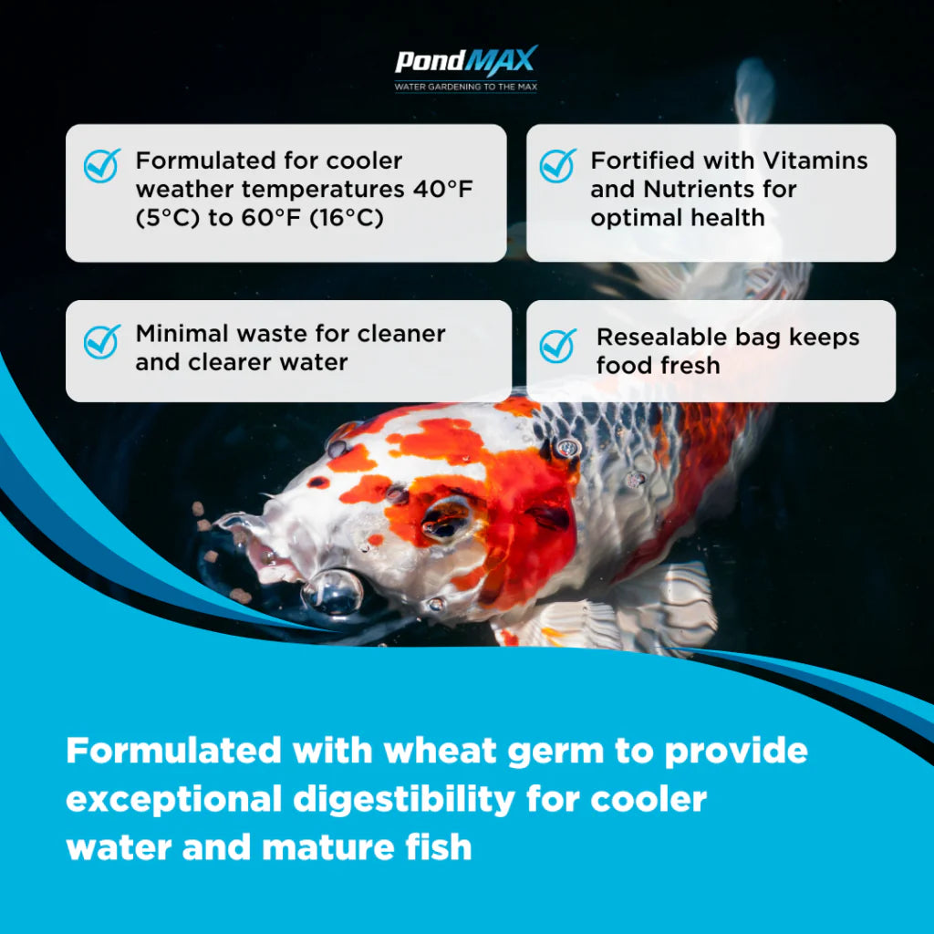 PondMAX Spring & Fall Wheat Germ Koi Food