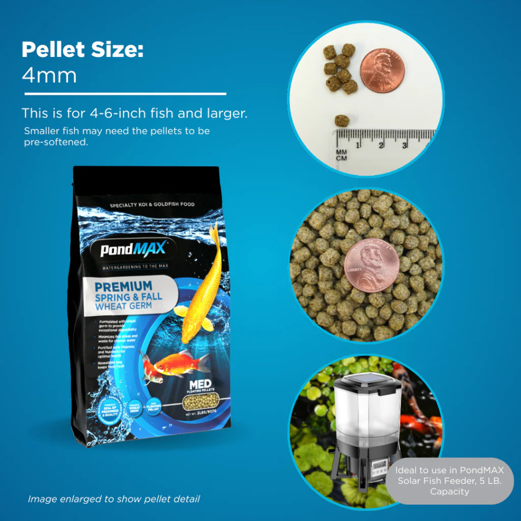 PondMAX Spring & Fall Wheat Germ Koi Food